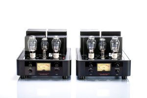 Trafomatic Glenn Mono Power Amplifier