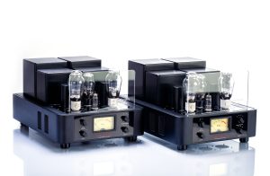 Trafomatic Glenn Mono Power Amplifier