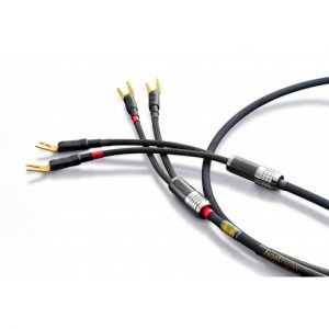 Audience frontRow Speaker Cable