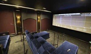 Acurus ACT4 in Cinema Room