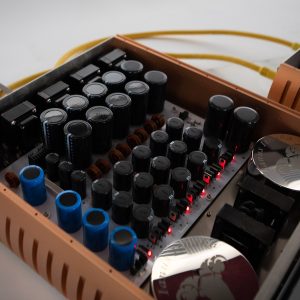 Aries Cerat Ianus Ithaka DAC - flagship R2R ladder converter with 24 AD1865 chips, and powerful TriodeFet.